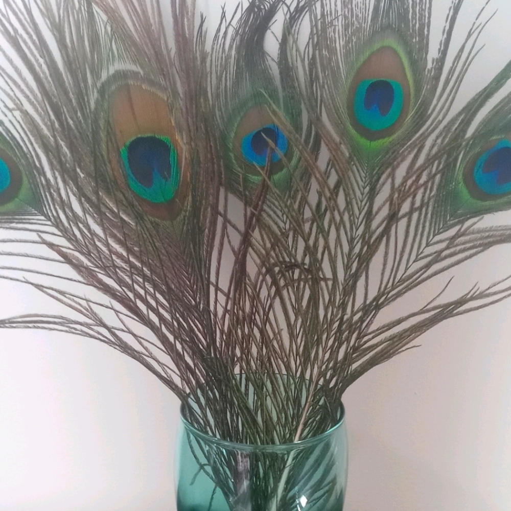 5 Peacock Feathers and 3 tin candles lightly scent